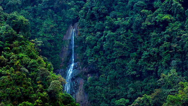 Национальные парки Коста-Рики